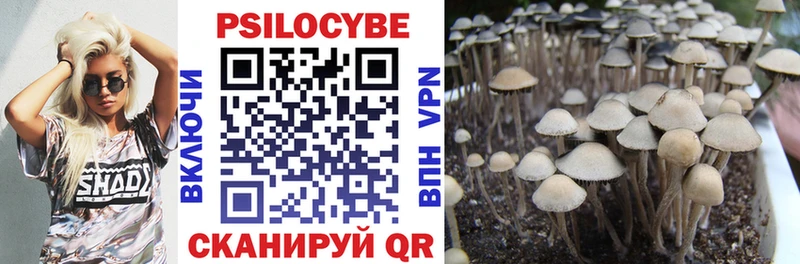 Галлюциногенные грибы MAGIC MUSHROOMS Стрежевой